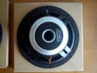 DSC00353_mini.jpg