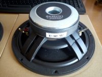DSC00354_mini.jpg