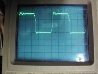 HPIM0079 (Medium).JPG