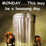 Dachshund - Monday.jpg