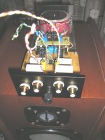 mc chipamp11.jpg