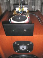 mc chipamp15.jpg