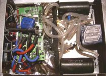the guts.jpg