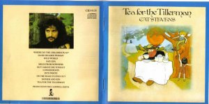 cat stevens1b.jpg