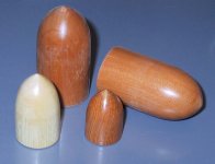 steves-coral-plugs.jpg