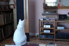 DSC_0001.jpg