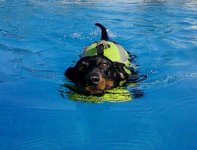 Swining - in pool.jpg