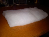 DSC00367.jpg