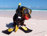 snorkel-diver-costume.jpg