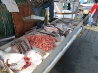 IMG_2413.jpg