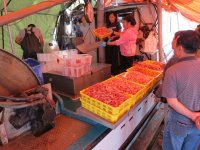 IMG_2417.jpg