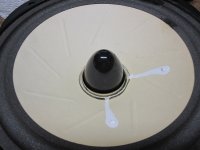 Moth Front 3.jpg