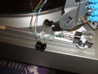 Magnets wetted 2.jpg