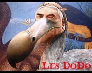 Les Dodo.jpg