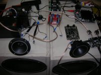 3100 on piezo.jpg 3100 on piezo.jpg