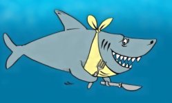 Hungry shark.jpg