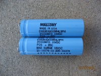 Mallory caps.jpg