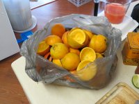 IMG_2008.jpg