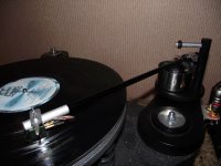 WTA Clone 183.jpg WTA Clone 183.jpg