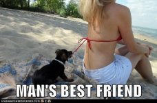 Man's Best Friend.jpg
