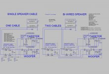 bw_2d_schem_w-no_amps.jpg