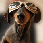 Goggles.jpg