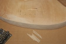 IMG_9781.JPG