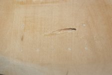 IMG_9800.JPG