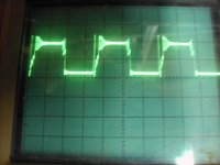 HPIM0086 (Medium).JPG