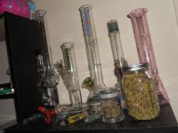 Bongs.jpg
