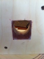 throat with resin hard.jpg