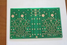Elektor Amp Back Side.JPG