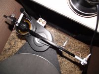 WT Arm 2 001.jpg