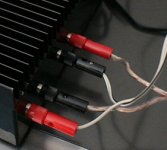 mina amp.jpg