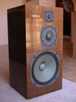 ns1200.jpg