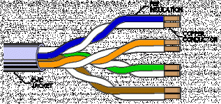 cat5 fep.gif