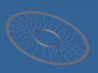 spider web B24.jpg