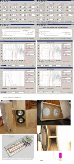2xScanSpeak25W_8565-01_single-folded_T-TQWT.JPG