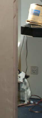 His Master's Voice.png