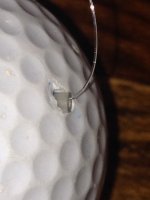 IMG_0010.jpg