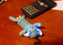 IMG_0249.JPG