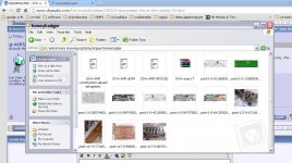ostripper1111.JPG