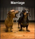 Dachshund Marriage.jpg