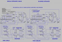 Bi-wire_schematic.jpg