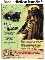 Honey Badger.jpg