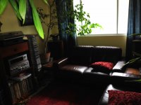 Concerto's in Living room.jpg