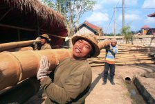 big bamboo.jpg