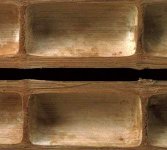 bamboo cross section.jpg