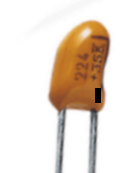 Image1.png