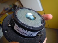 DSCN4732.jpg